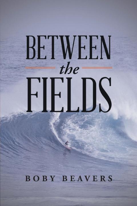 Cover image for book Between the Fields