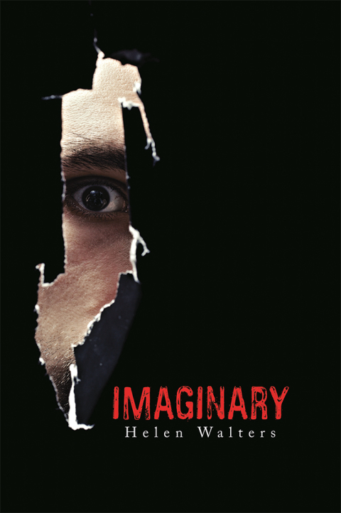 Cover image for book Imaginary