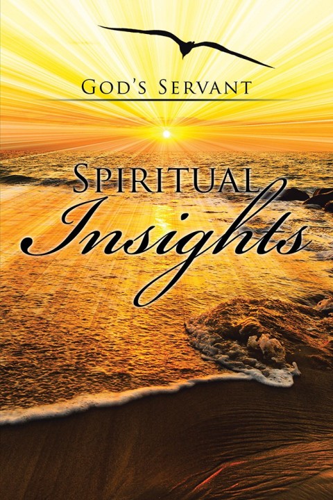 Cover image for book Spiritual Insights