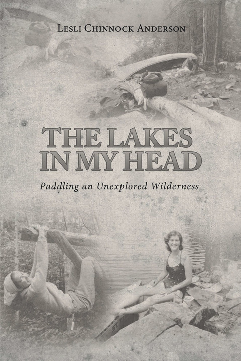 Cover image for book The Lakes in My Head