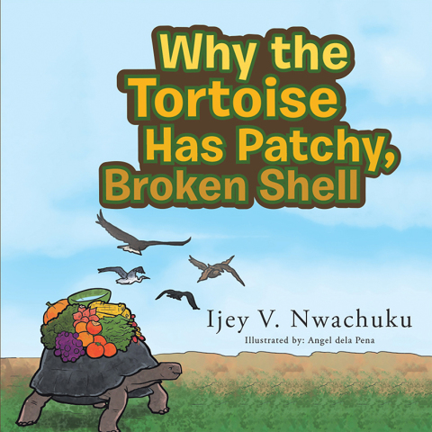 Cover image for book Why the Tortoise Has Patchy, Broken Shell