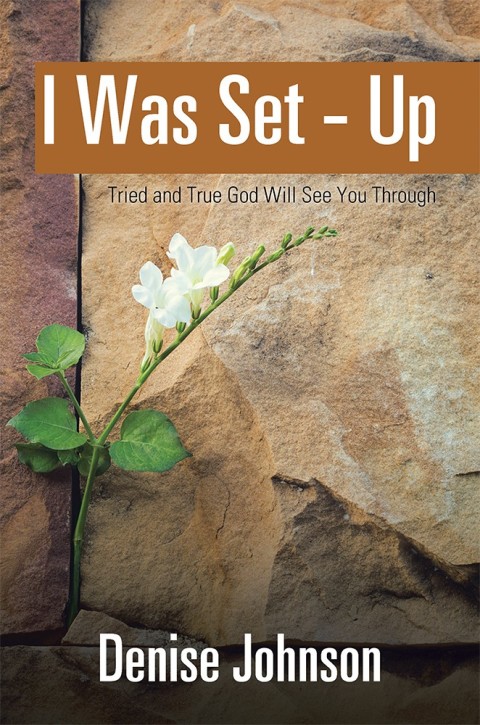 Cover image for book I Was Set - Up