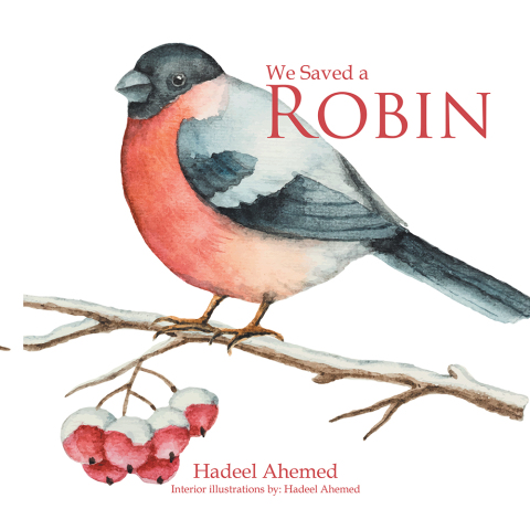 Cover image for book We Saved a Robin