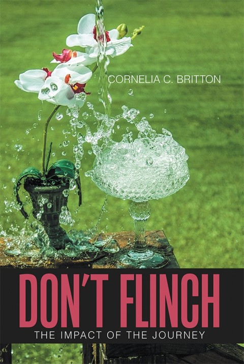 Cover image for book Don’T Flinch