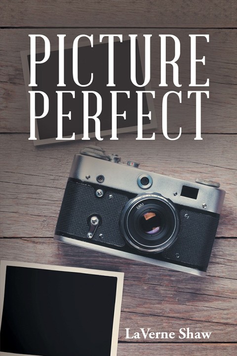 Cover image for book Picture Perfect