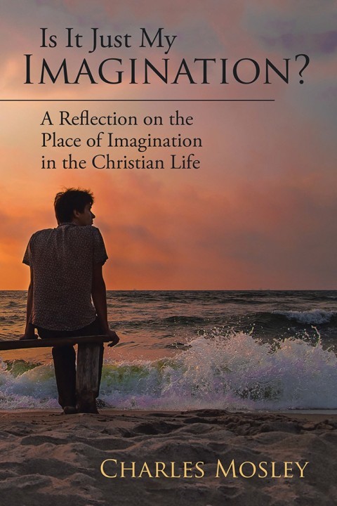 Cover image for book Is It Just My Imagination?