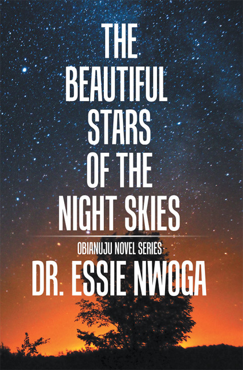 Cover image for book The Beautiful Stars of the Night Skies