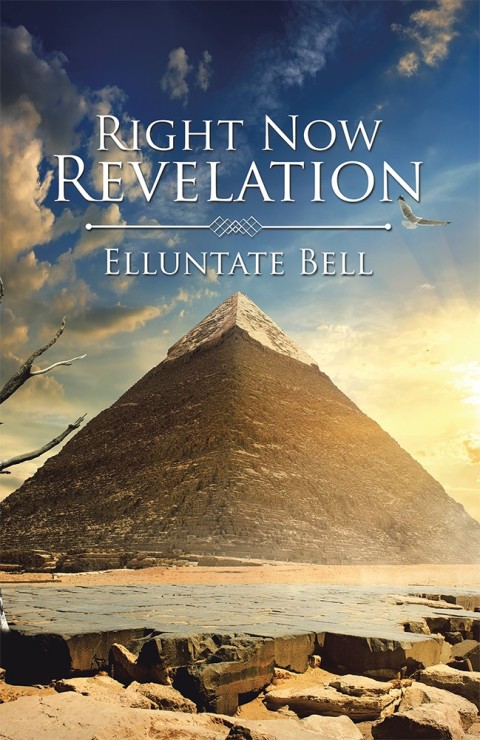 Cover image for book Right Now Revelation