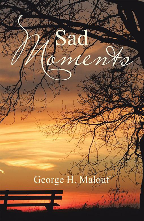 Cover image for book Sad Moments