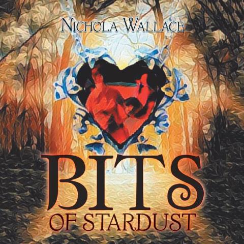 Cover image for book Bits of Stardust