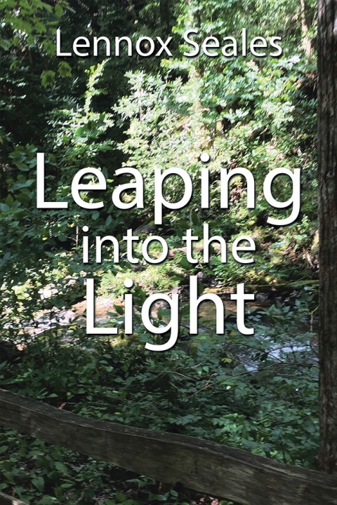 Cover image for book Leaping into the Light