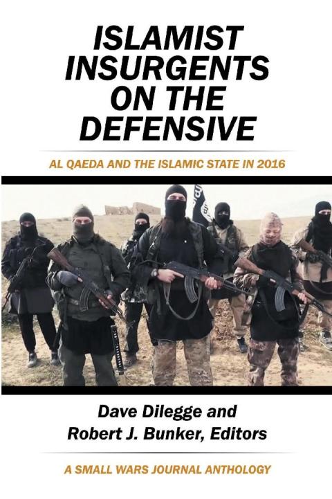 Cover image for book Islamist Insurgents on the Defensive