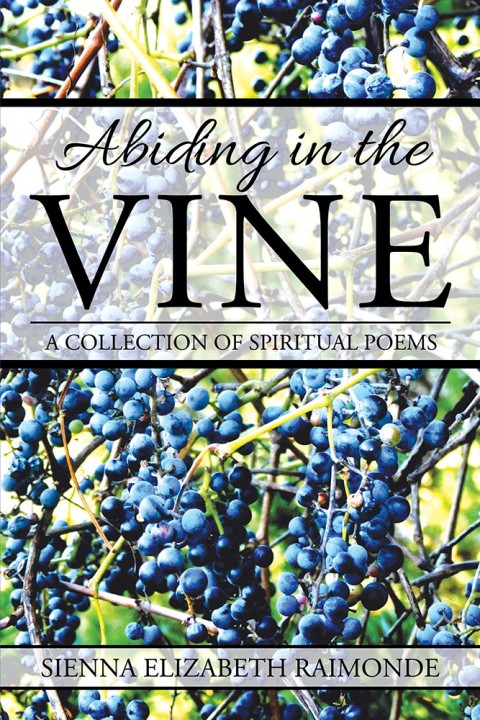 Cover image for book Abiding in the Vine