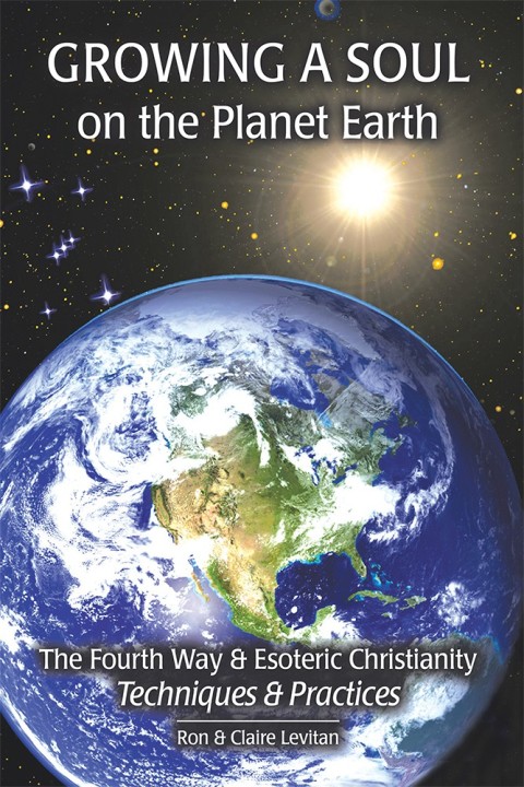 Cover image for book Growing a Soul on the Planet Earth
