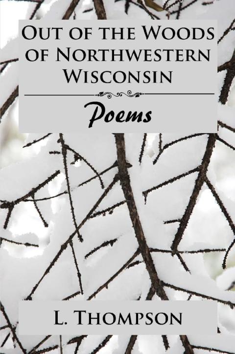 Cover image for book Out of the Woods of Northwestern Wisconsin