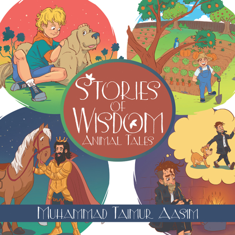 Cover image for book Stories of Wisdom