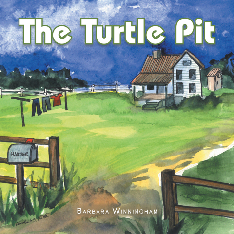 Cover image for book The Turtle Pit