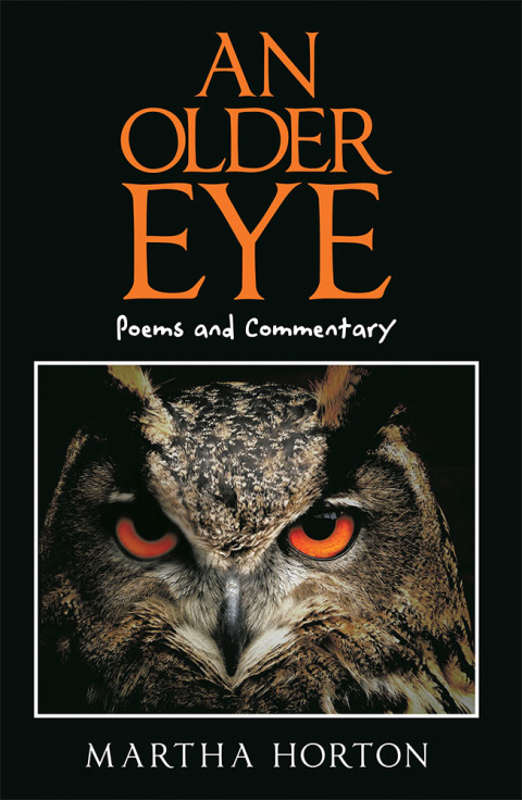 Cover image for book An Older Eye