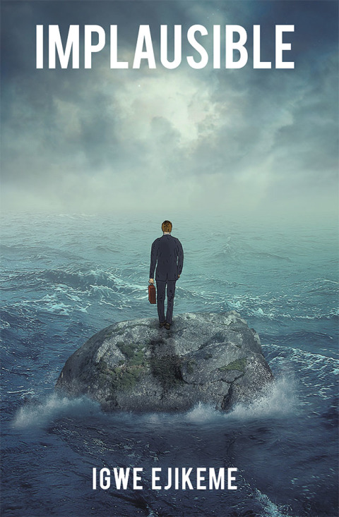 Cover image for book Implausible