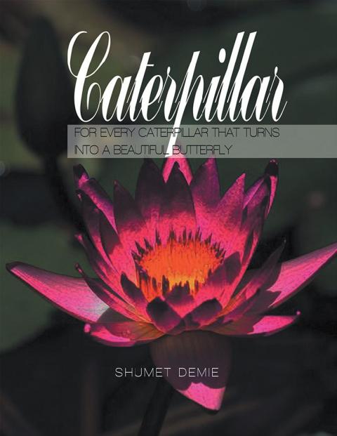 Cover image for book Caterpillar