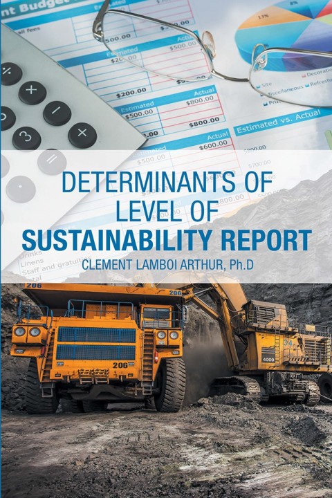 Cover image for book Determinants of Level of Sustainability Report