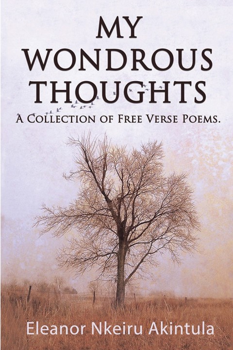 Cover image for book My Wondrous Thoughts
