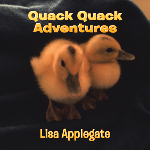 Cover image for book Quack Quack Adventures