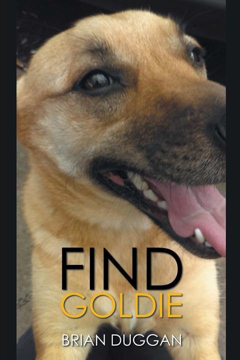 Cover image for book Find Goldie