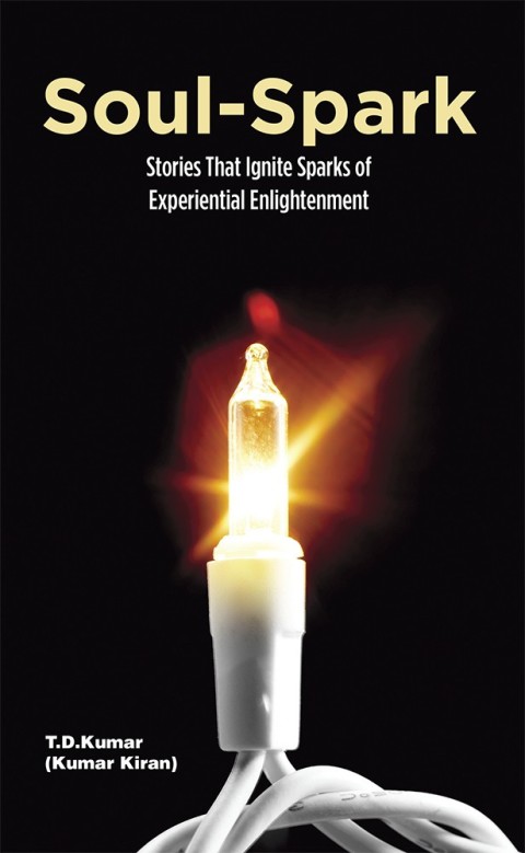 Cover image for book Soul-Spark