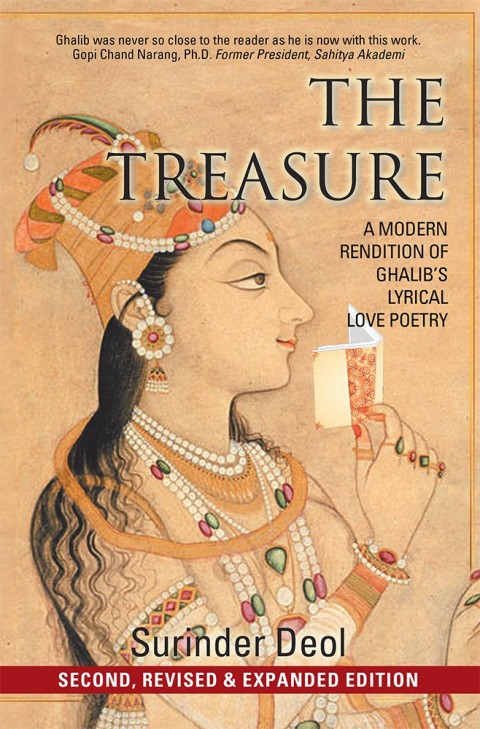 Cover image for book The Treasure