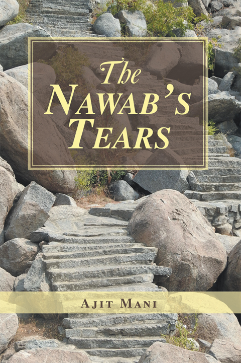 Cover image for book The Nawab’s Tears
