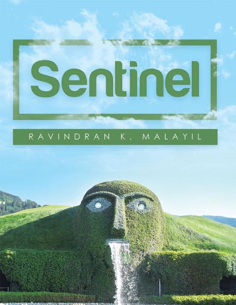 Cover image for book Sentinel