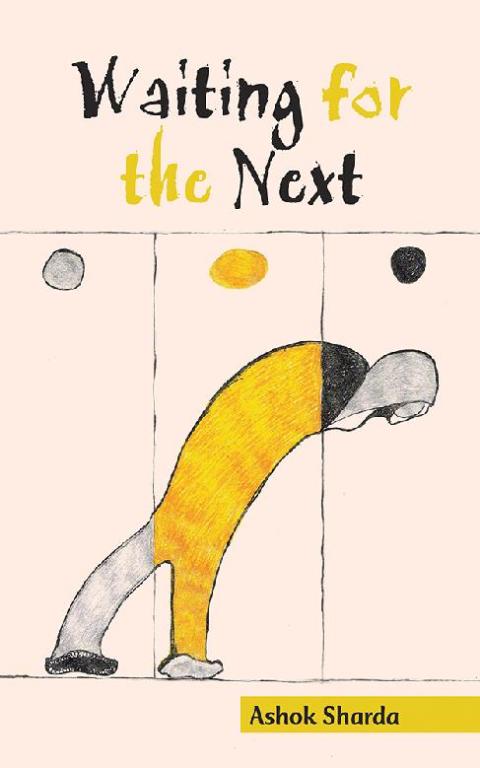 Cover image for book Waiting for the Next