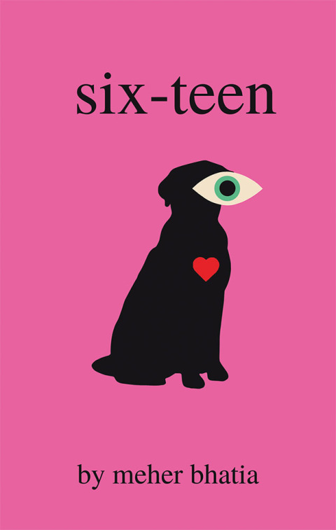 Cover image for book Six-Teen