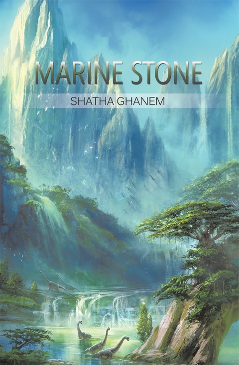 Cover image for book Marine Stone
