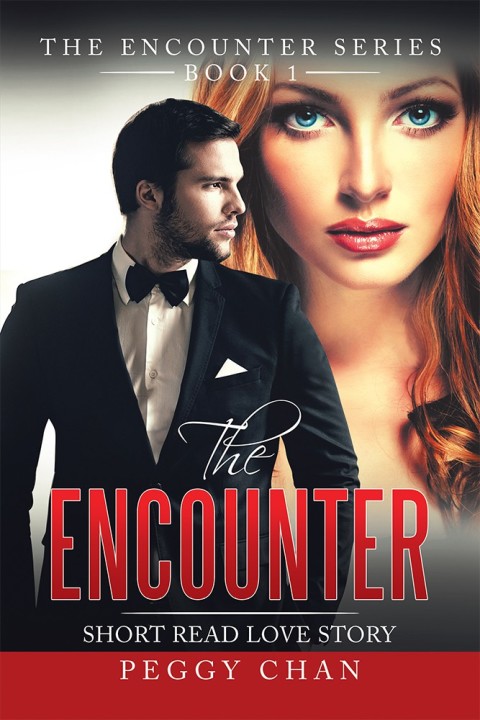 Cover image for book The Encounter