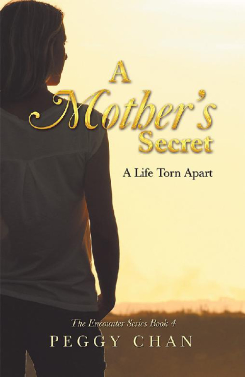 Cover image for book A Mother’S Secret
