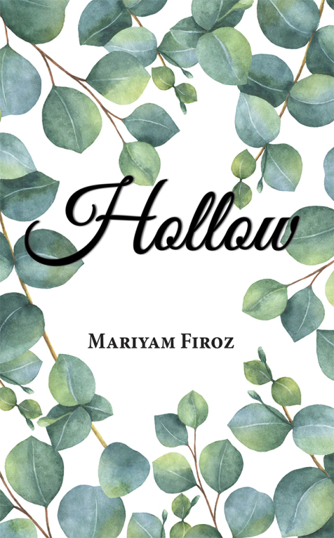 Cover image for book Hollow