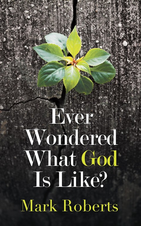 Cover image for book Ever Wondered What God Is Like?