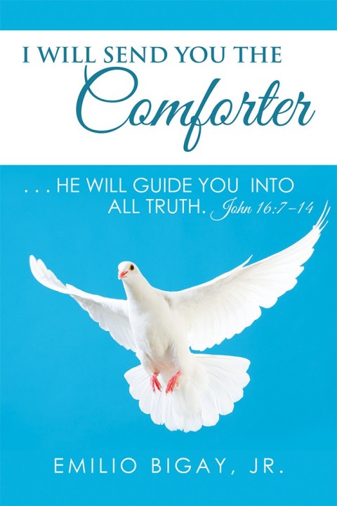 Cover image for book I Will Send You the Comforter