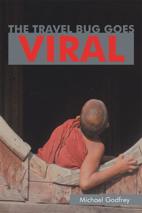 Cover image for book The Travel Bug Goes Viral