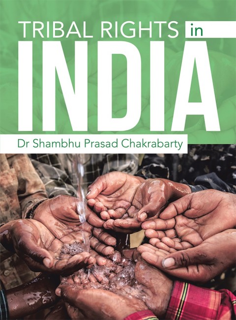 Cover image for book Tribal Rights in India