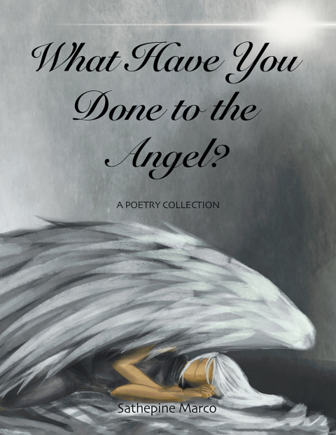 Cover image for book What Have You Done to the Angel?