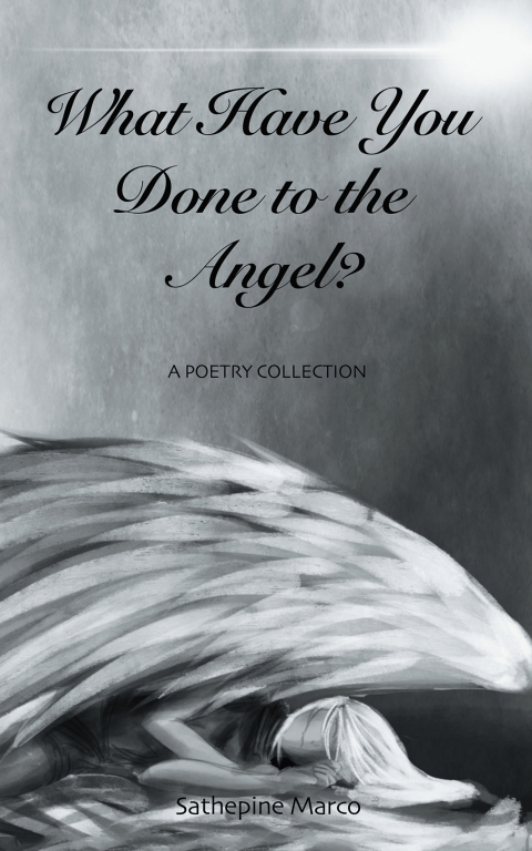 Cover image for book What Have You Done to the Angel?