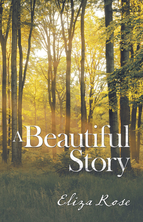 Cover image for book A Beautiful Story