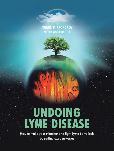 Cover image for book Undoing Lyme Disease
