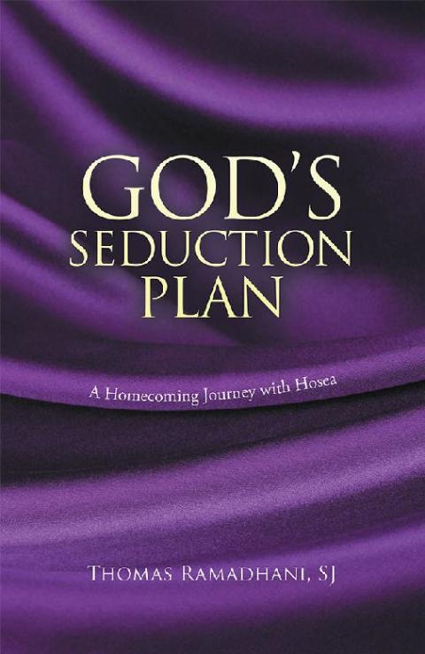 Cover image for book God’s Seduction Plan