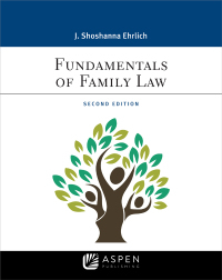 Cover image: Fundamentals of Family Law 2nd edition 9781543801620