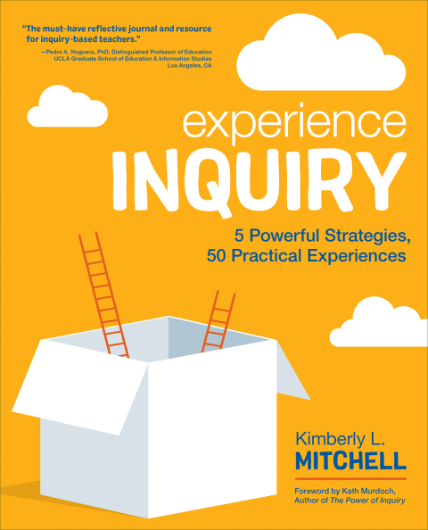Cover image for book Experience Inquiry