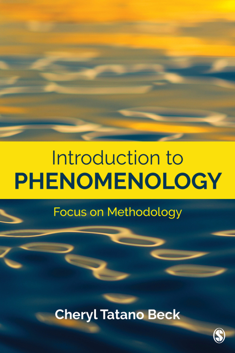 Cover image for book Introduction to Phenomenology